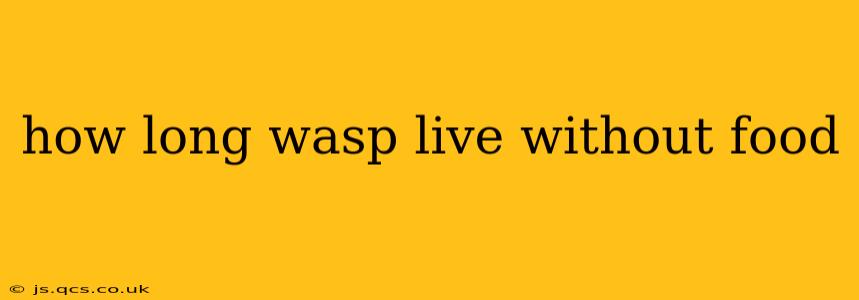 how long wasp live without food