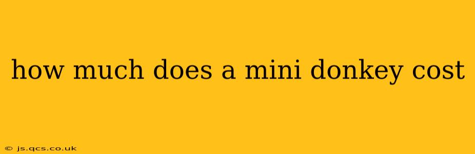 how much does a mini donkey cost
