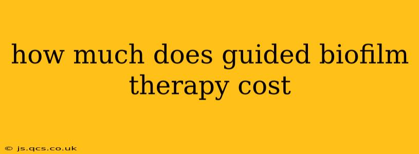 how much does guided biofilm therapy cost
