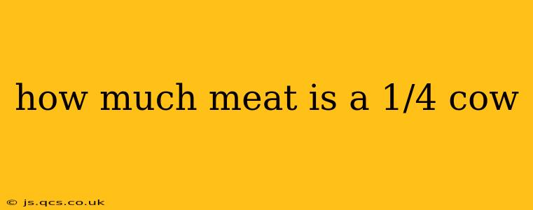 how much meat is a 1/4 cow