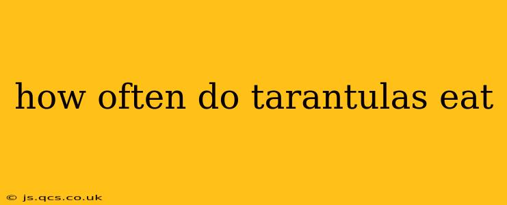 how often do tarantulas eat