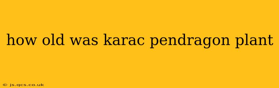 how old was karac pendragon plant