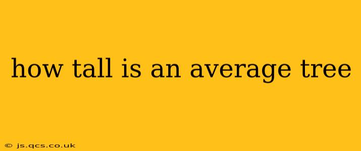 how tall is an average tree