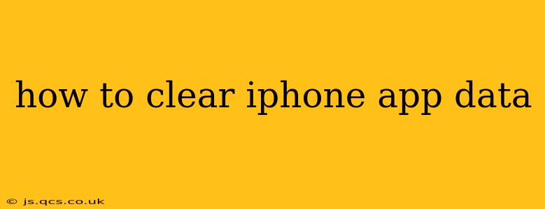 how to clear iphone app data