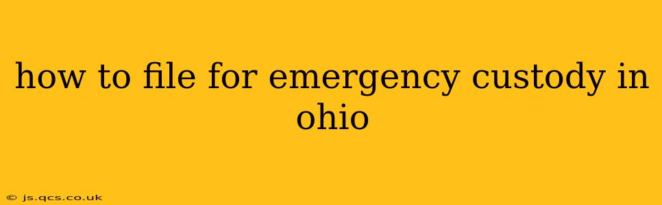 how to file for emergency custody in ohio