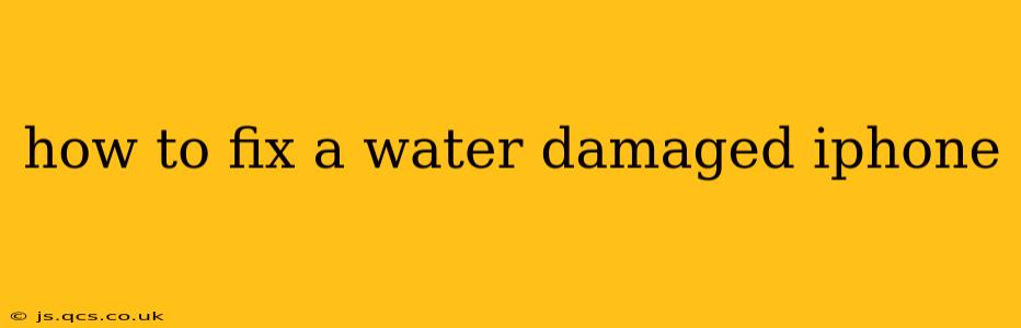 how to fix a water damaged iphone