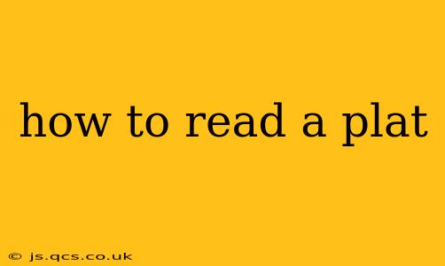 how to read a plat