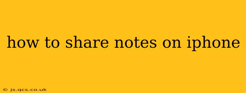 how to share notes on iphone