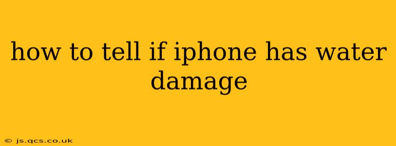 how to tell if iphone has water damage