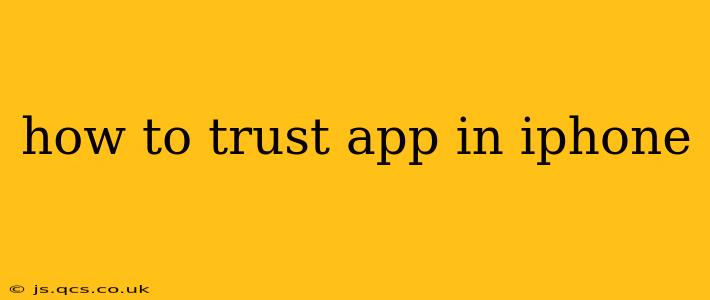 how to trust app in iphone