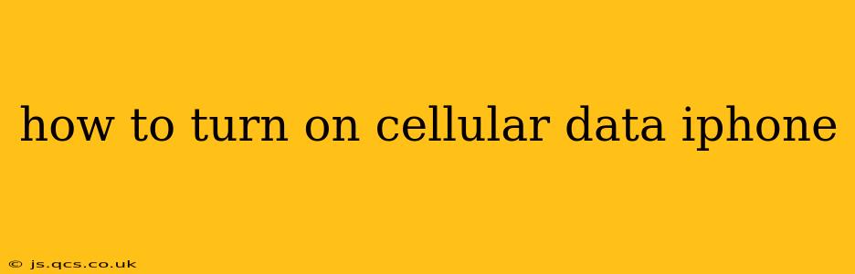 how to turn on cellular data iphone