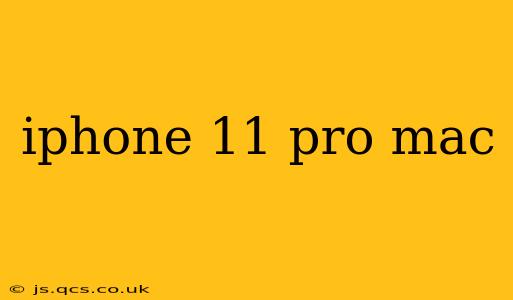 iphone 11 pro mac
