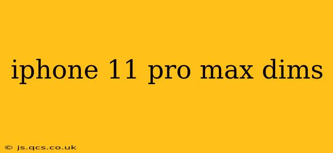 iphone 11 pro max dims