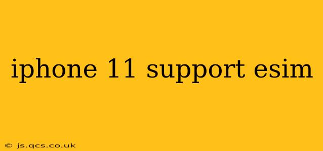 iphone 11 support esim