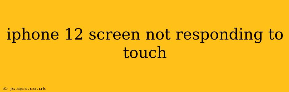 iphone 12 screen not responding to touch