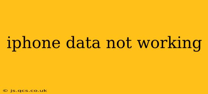 iphone data not working