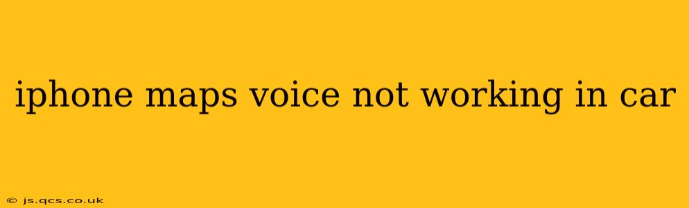 iphone maps voice not working in car