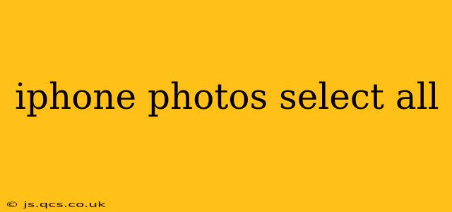 iphone photos select all