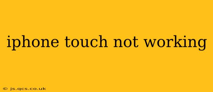 iphone touch not working