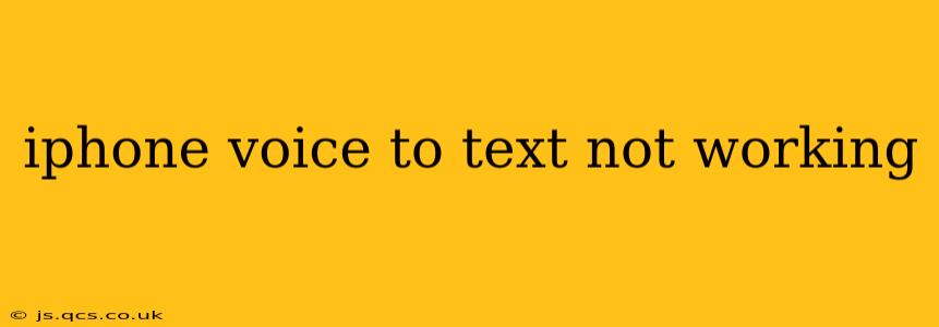 iphone voice to text not working