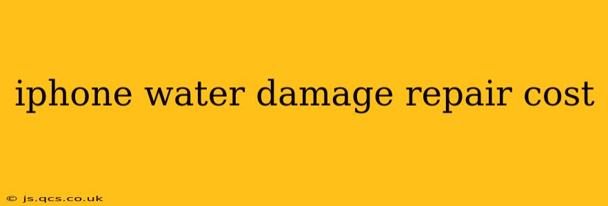 iphone water damage repair cost