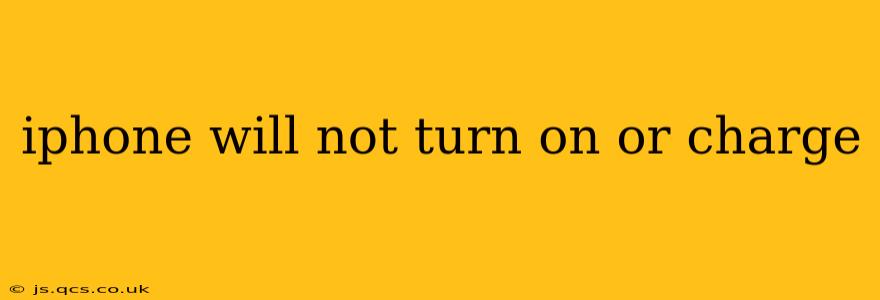 iphone will not turn on or charge