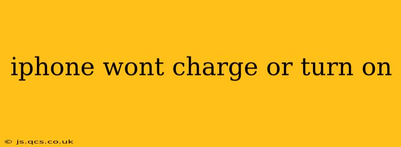 iphone wont charge or turn on