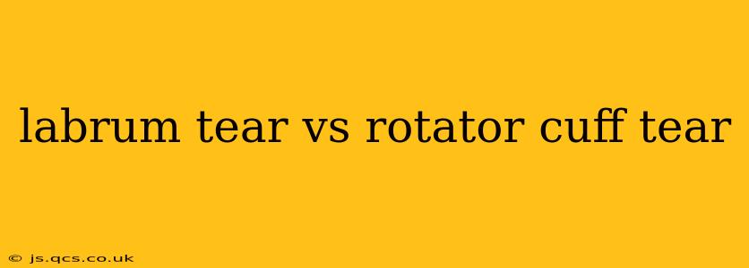 labrum tear vs rotator cuff tear