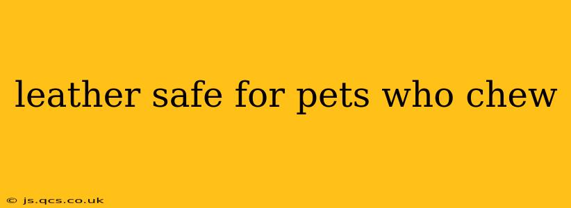leather safe for pets who chew