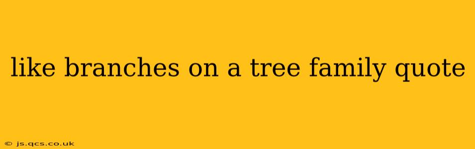 like branches on a tree family quote