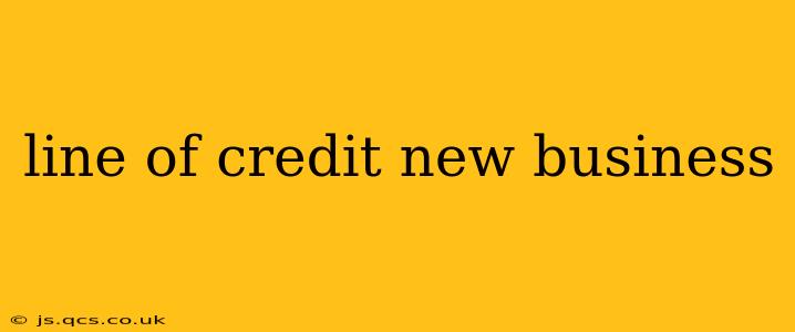 line of credit new business