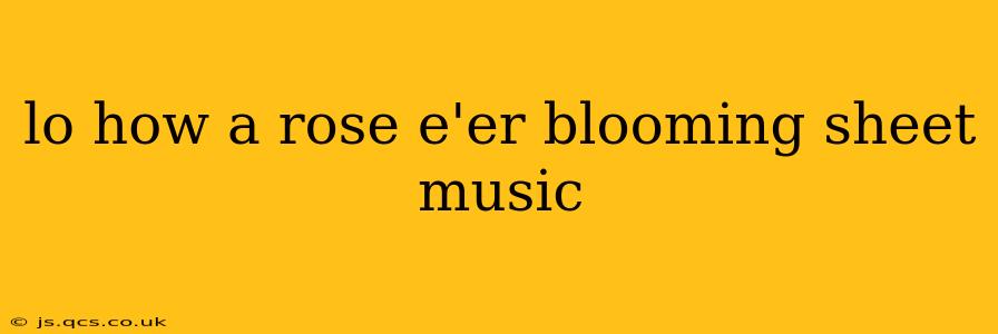 lo how a rose e'er blooming sheet music
