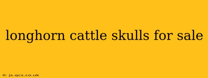 longhorn cattle skulls for sale