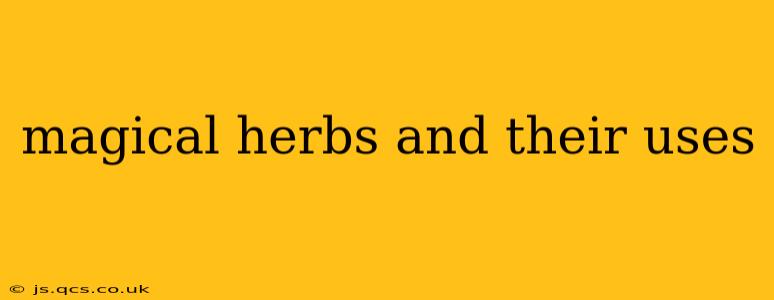 magical herbs and their uses