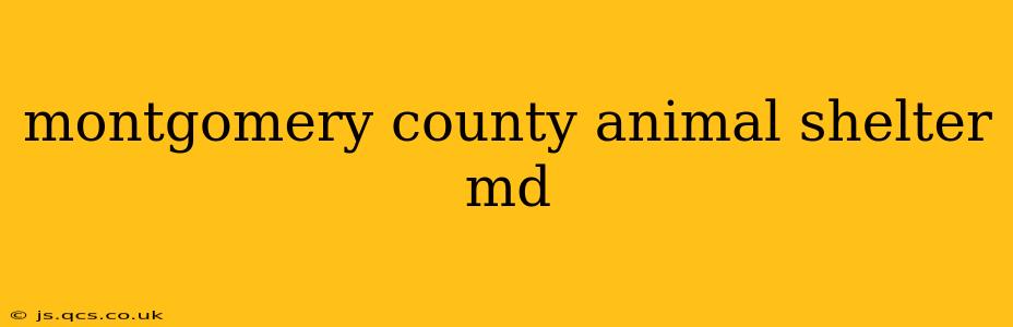 montgomery county animal shelter md