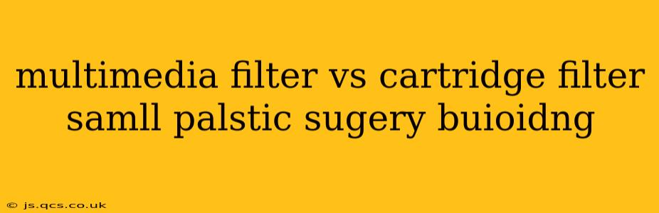 multimedia filter vs cartridge filter samll palstic sugery buioidng