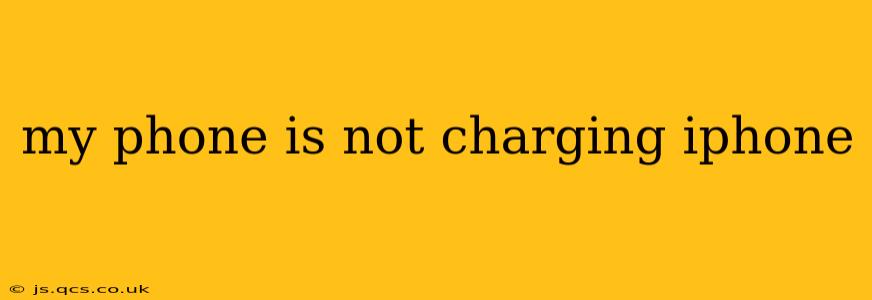 my phone is not charging iphone