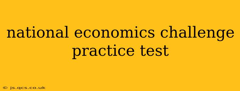 national economics challenge practice test