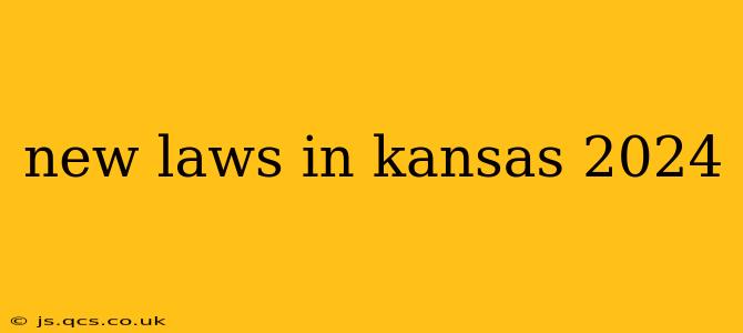 new laws in kansas 2024