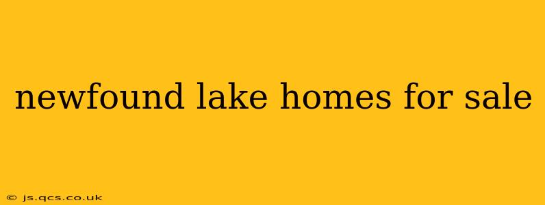 newfound lake homes for sale