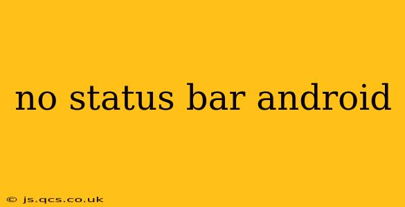 no status bar android