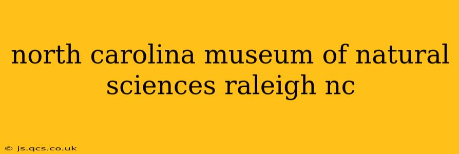 north carolina museum of natural sciences raleigh nc