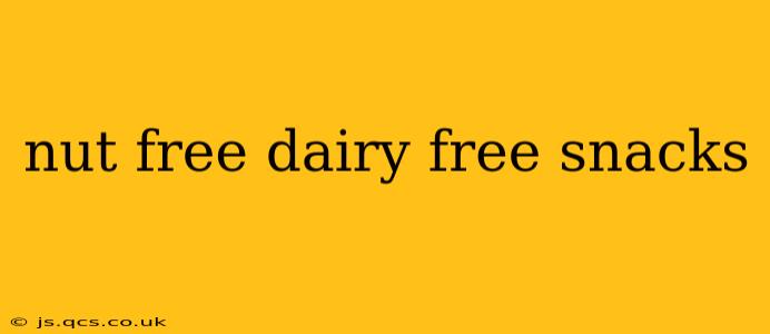 nut free dairy free snacks