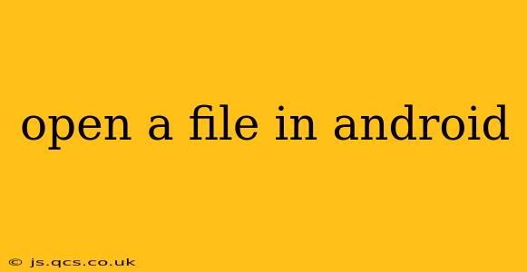 open a file in android