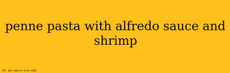 penne pasta with alfredo sauce and shrimp