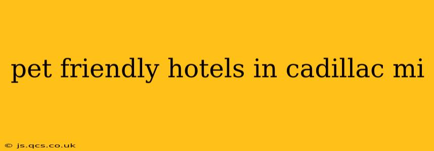 pet friendly hotels in cadillac mi