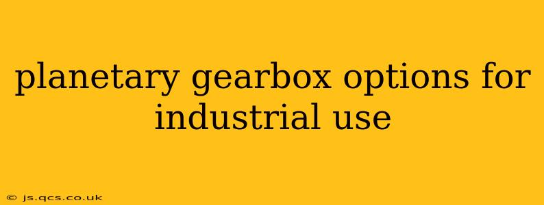 planetary gearbox options for industrial use