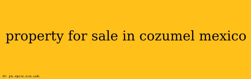 property for sale in cozumel mexico