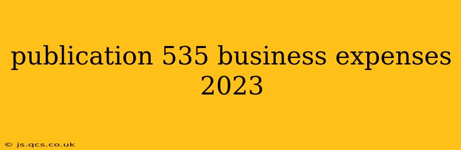 publication 535 business expenses 2023