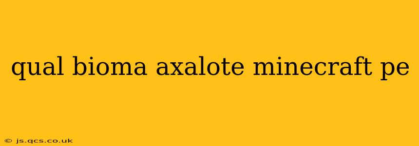 qual bioma axalote minecraft pe